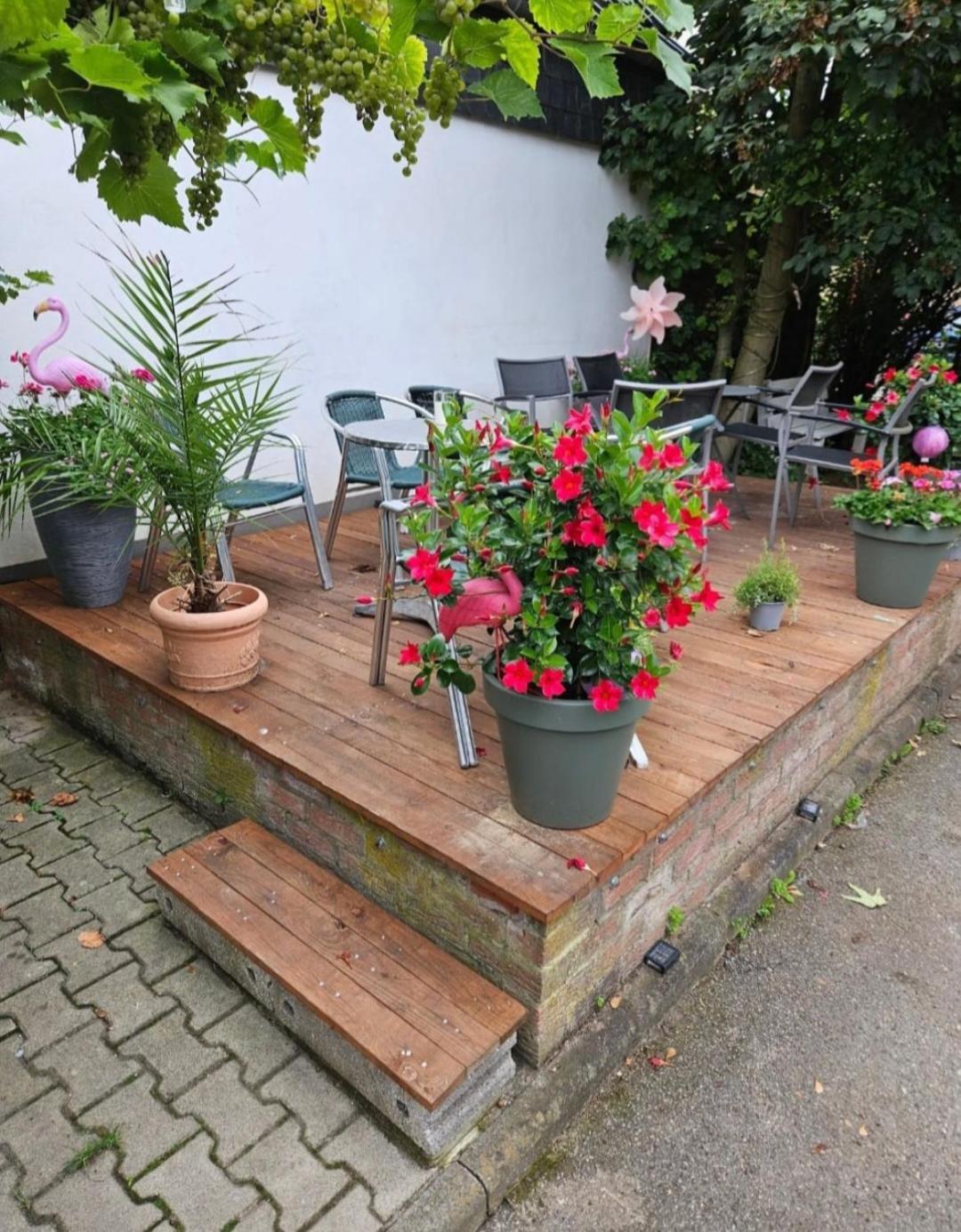 Pension Mediterrano Bedburg Exterior photo